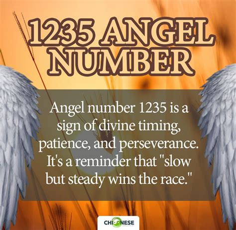 1235 angel number meaning|1235 Angel Number: Meaning and Significance Explained